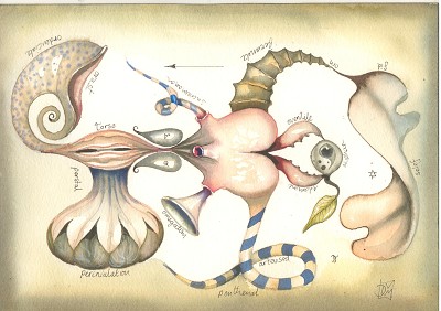 An unsettling, dreamlike anatomical puzzle.