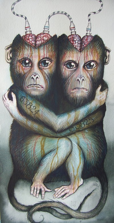 Unsettling union of shared vulnerability and artificial connection
