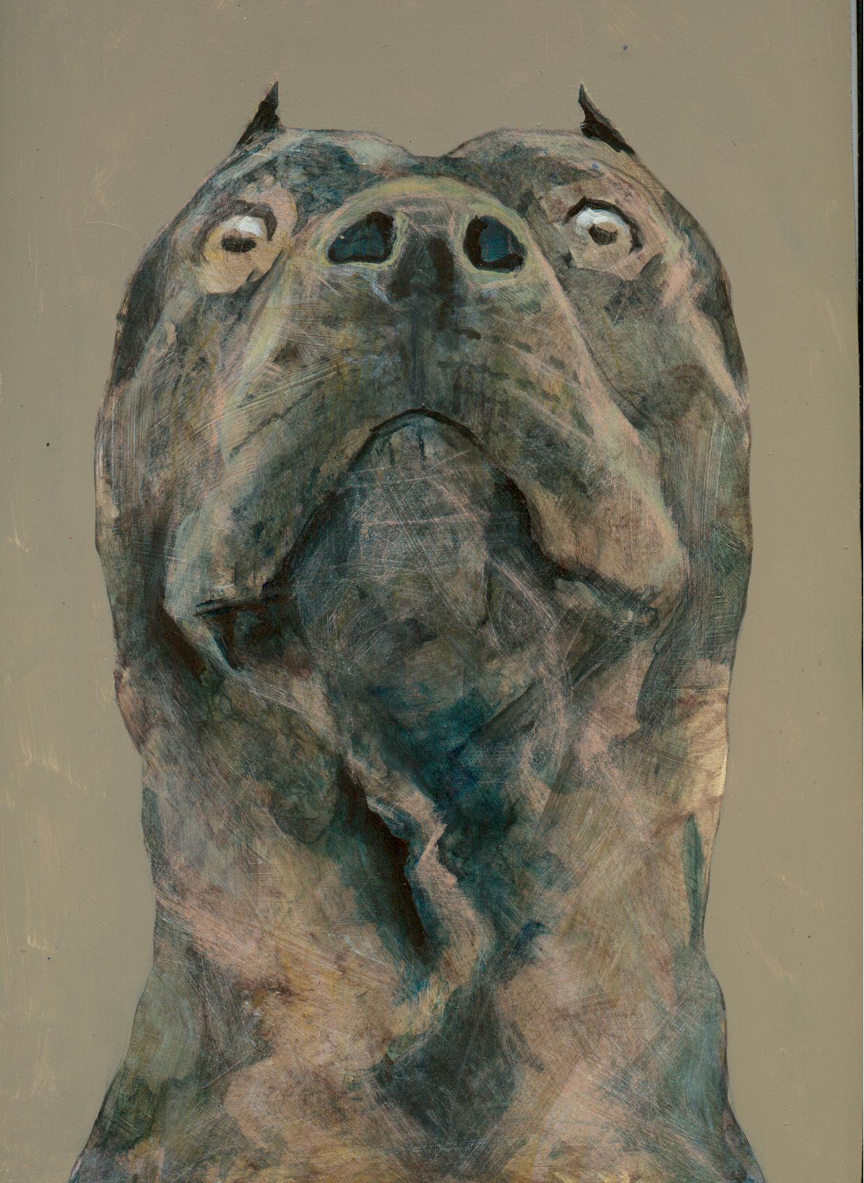 An unsettling gaze that pierces with an unnerving intensity.