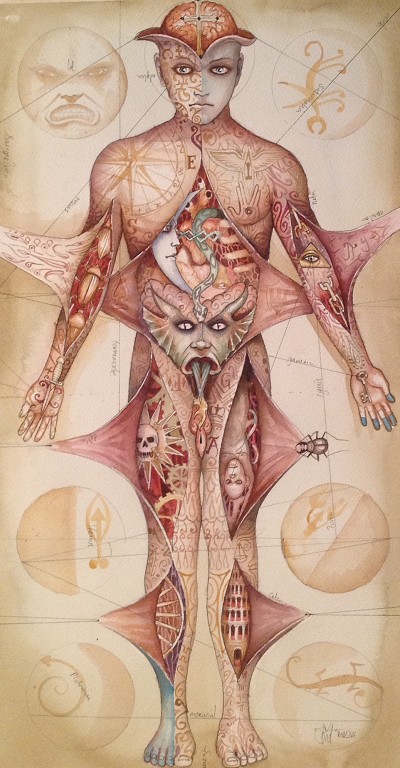 A disturbing and unsettling anatomical study with a sense of hidden, primal forces.