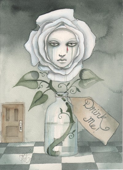 Melancholy beauty and unsettling transformation